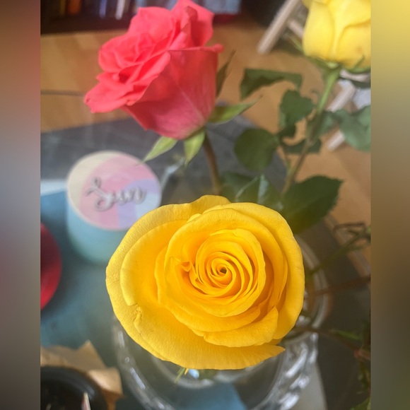 Unlisted Live Show Ítem - Picture 3 of 3